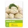 Moruše bílá -50+ cm