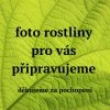 Ekozahradnictvi rostliny