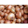 couleur onions 1397037 1280