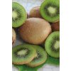 KIWI - Actinidia chinensis HAYWARD - samice