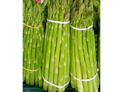 Chřest ARGENTUIL - sazenice