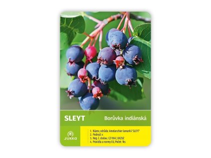 Muchovník olšolistý SLEYT