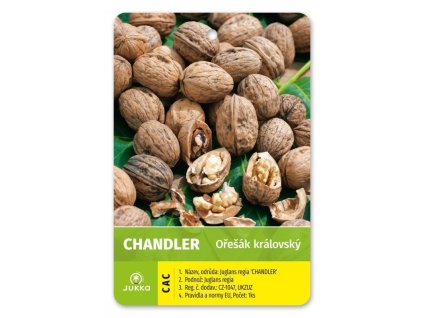 Ořešák vlašský CHANDLER