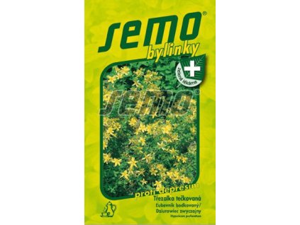 Třezalka tečkovaná