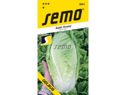Salát římský - GELBUS