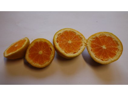 Mandarinka ´MIČURINEC´