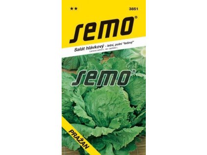 Salát ledový PRAŽAN polní