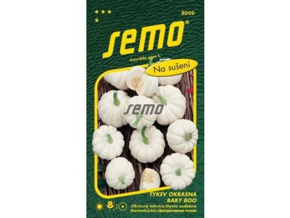 Tykev okrasná BABY BOO