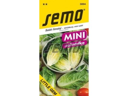 Salát římský - LITTLE GEM