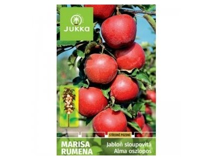 Jabloň MARISA RUMENA