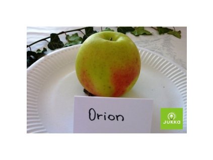 Jabloň ORION® - M26