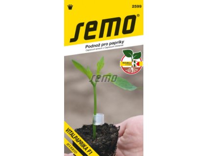 Vitalpaprika F1 - podnož k roubování paprik - výprodej semen ex. 2024