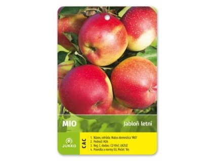 Jabloň MIO - A2