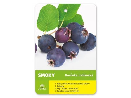 Muchovník olšolistý SMOKY