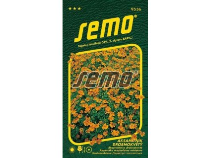 Aksamitník drobnokvětý – ORANŽOVÝ