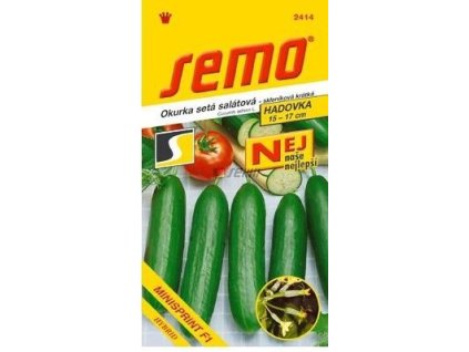 Okurka salátová - MINISPRINT F1