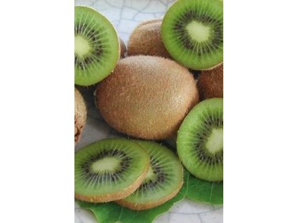 KIWI - Actinidia deliciosa HAYWARD - samice