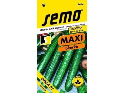 Okurka salátová - ORCA F1