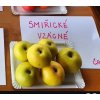 Jabloň SMIŘICKÉ VZÁCNÉ - M26
