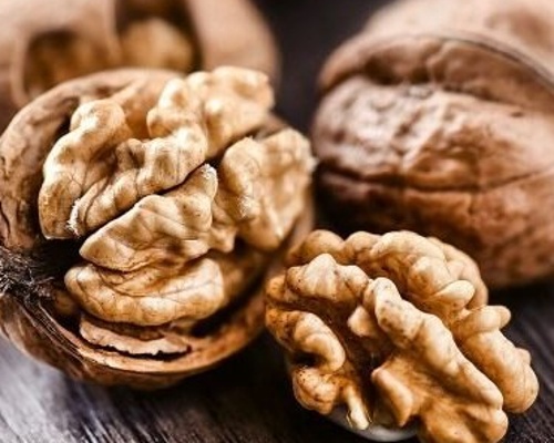 Instrukcja uprawy orzechów włoskich