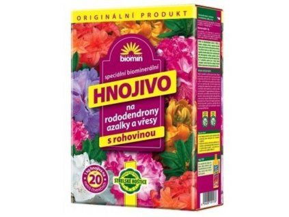 drzewo genealogiczne