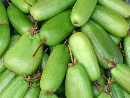 Kiwi 'Vitakola' (Balení kontejner C2)