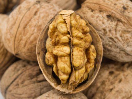 54186 oresak jupiter