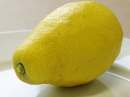Citroník 'Zagara Bianca' (Balení kontejner C2)