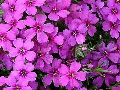 55872 1 waterlo