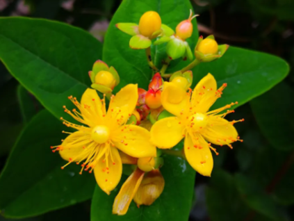 108398 1 sn mek obrazovky 59