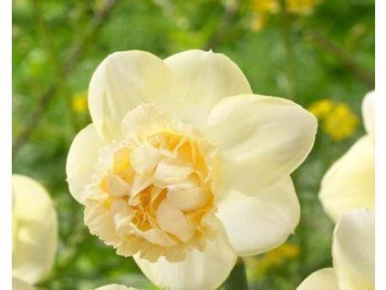 projektowanie artystyczne