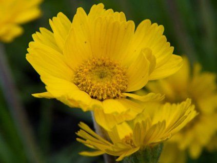 125412 1 5fd32d5e715e8