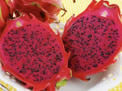 Pitaya hybridum (Balení kontejner C7)