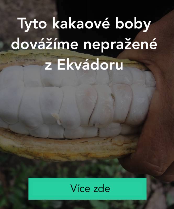 Pražené kakaové boby 