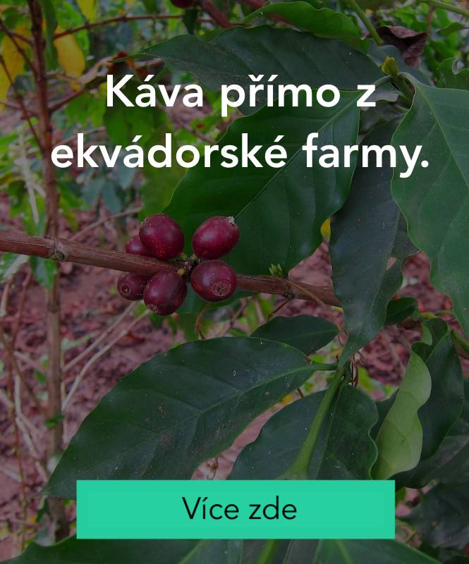 Výběrová káva přímo z farmy