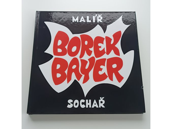 Borek Bayer - malíř, sochař (2002)