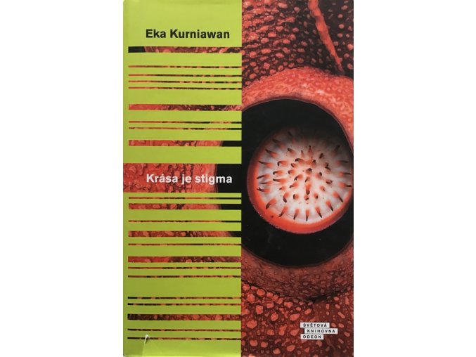 Krása je stigma (2018)