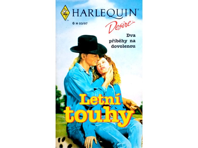 Letní touhy 6 - Léto s kovbojem, Nová šance (1996)