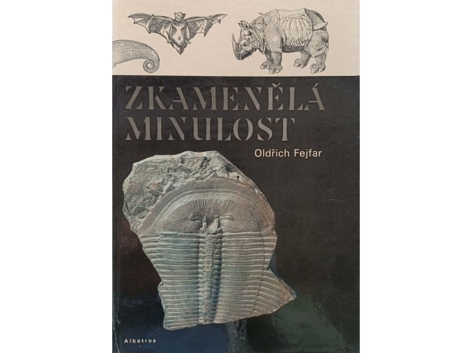 Zkamenělá minulost (1989)