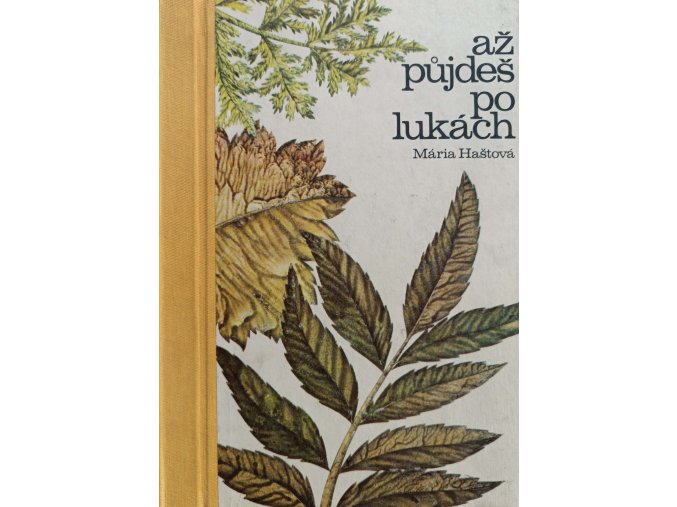 Až půjdeš po lukách (1978)