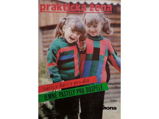 Praktická žena 2 (1988)