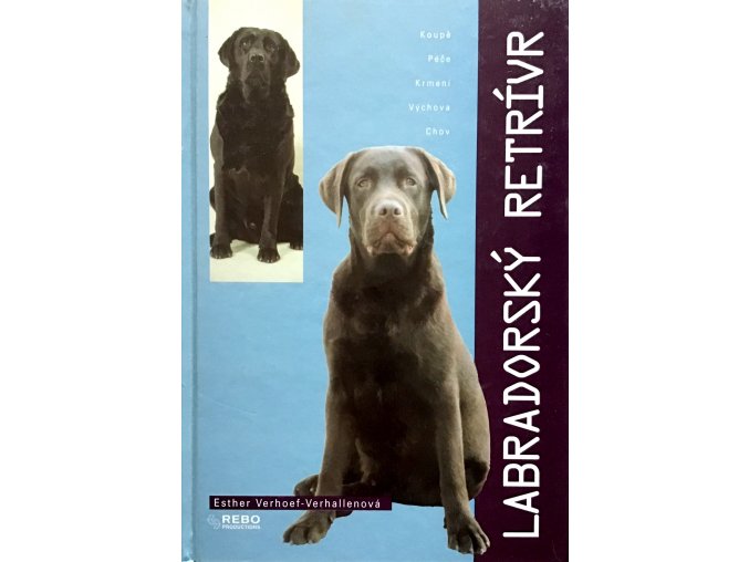 Labradorský retrívr (2000)