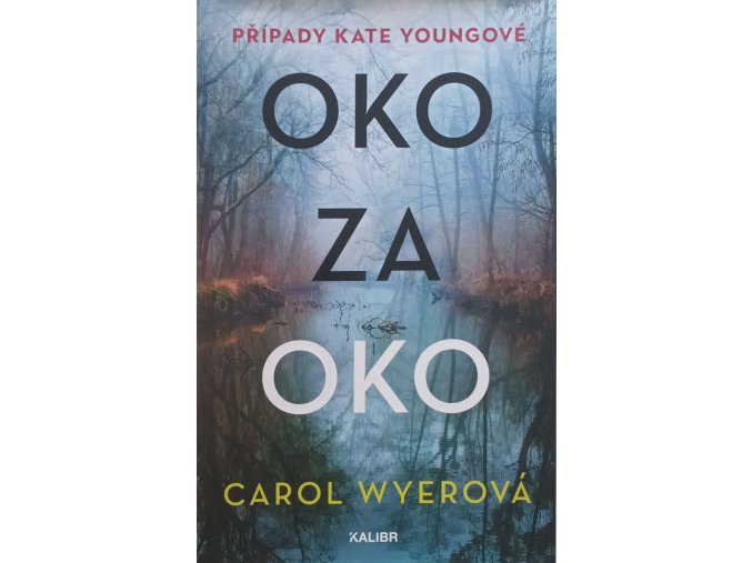 Inspektorka Kate Youngová 1 - Oko za oko (2022)