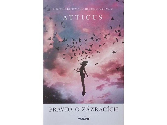 Pravda o zázracích (2020)