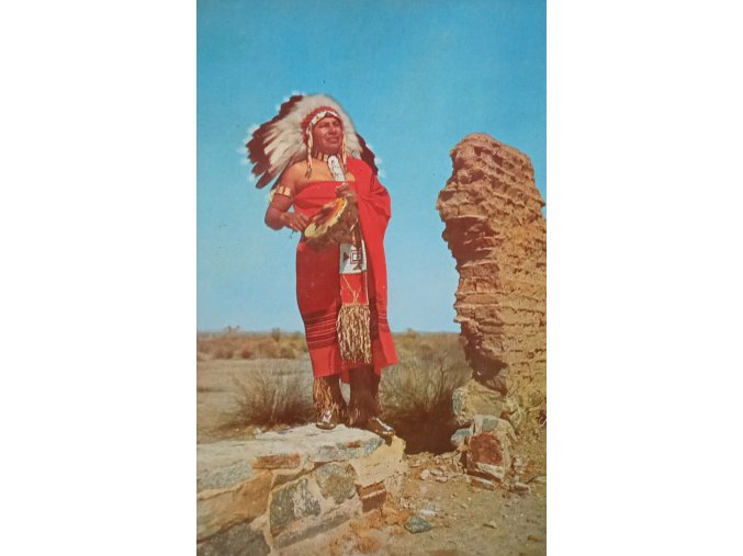 Western indian chief