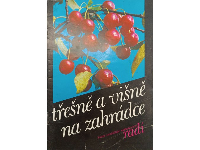 CamScanner 04. 10. 2025 12.54 12