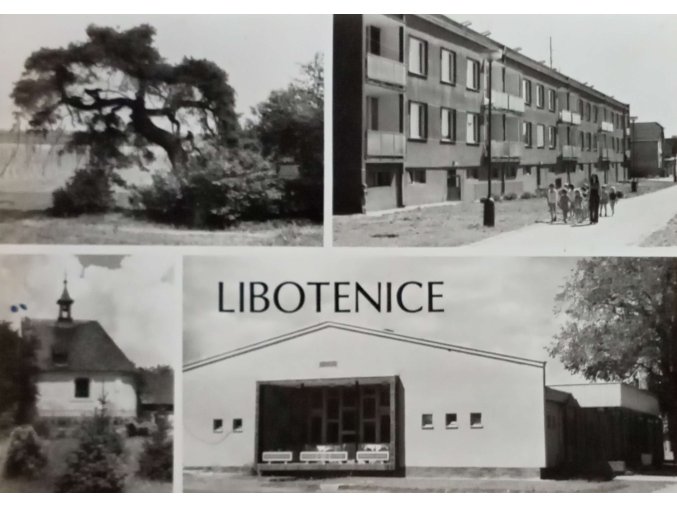 CamScanner 06. 11. 2025 15.42 7