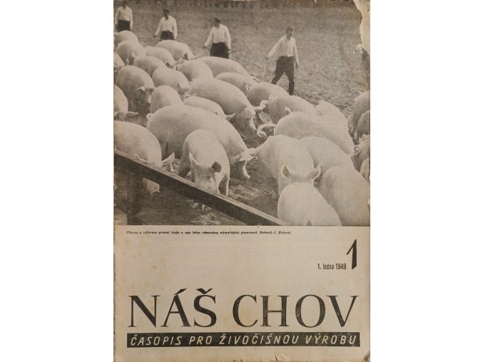 CamScanner 06. 12. 2025 11.09 9