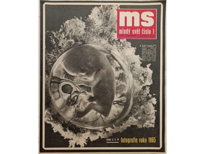 CamScanner 15. 12. 2025 11.59 4