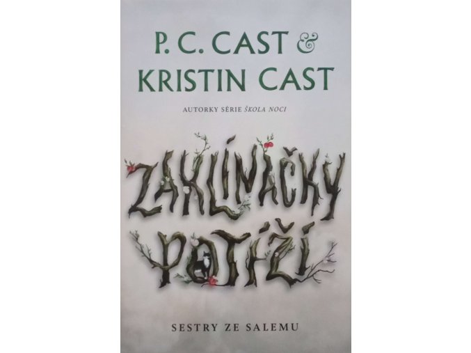 CamScanner 17. 01. 2026 11.41 16